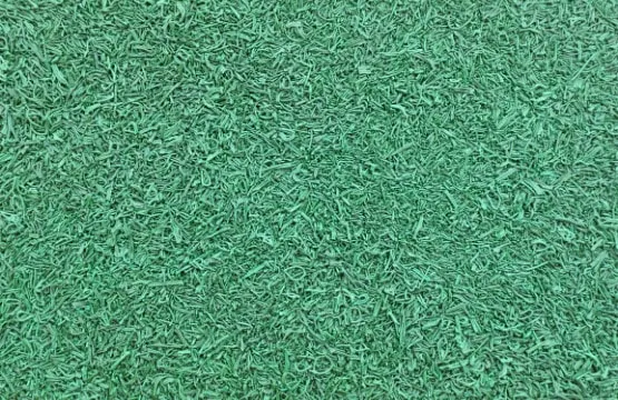 Gymnema Sylvestre - ingrediente di Spirulina Ultra per il metabolismo