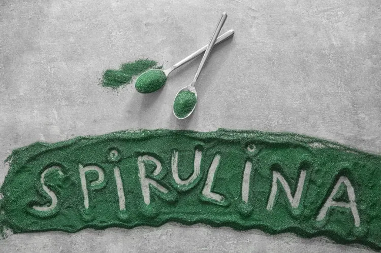 Alga Spirulina - ingrediente principale di Spirulina Ultra